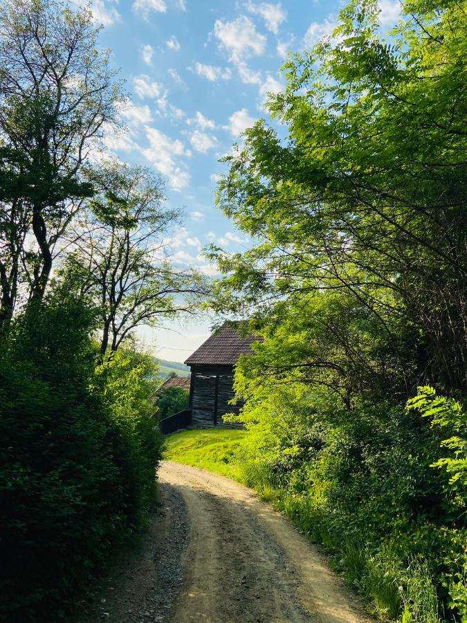 Slow Living Cottage, Dobolii De Sus Bagian luar foto