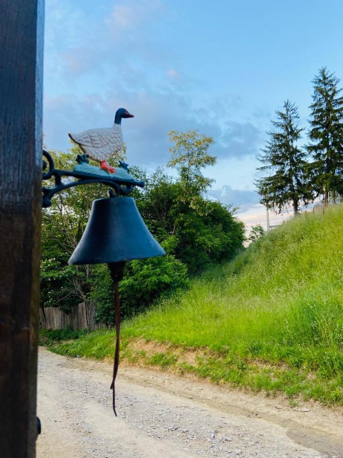 Slow Living Cottage, Dobolii De Sus Bagian luar foto