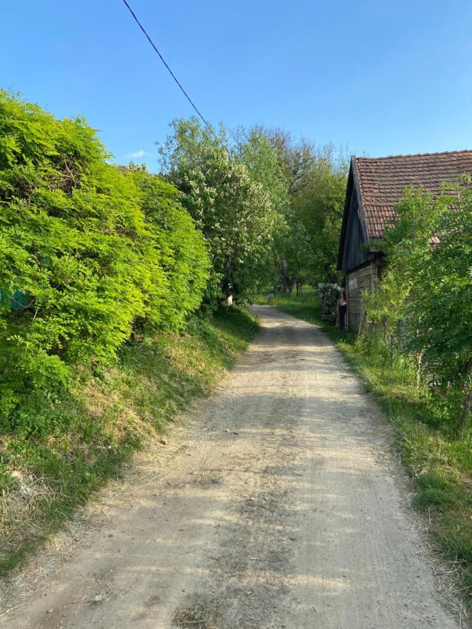 Slow Living Cottage, Dobolii De Sus Bagian luar foto