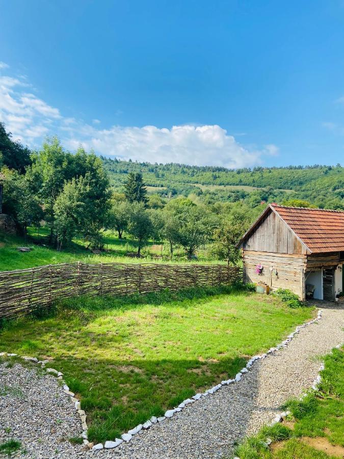 Slow Living Cottage, Dobolii De Sus Bagian luar foto